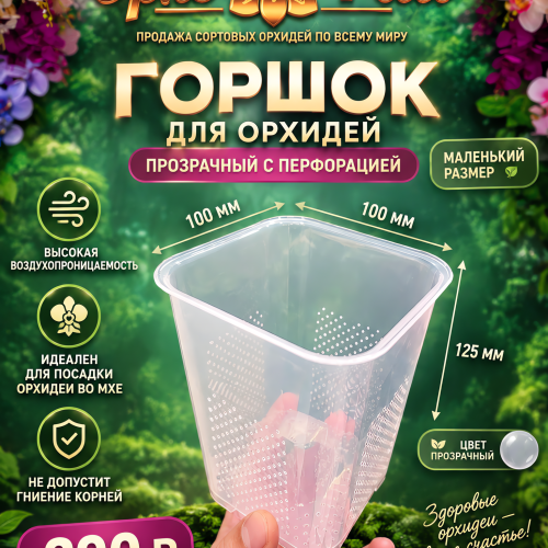 Горшок для орхидей с перфорацией маленький (10смх10смх12,5см) 