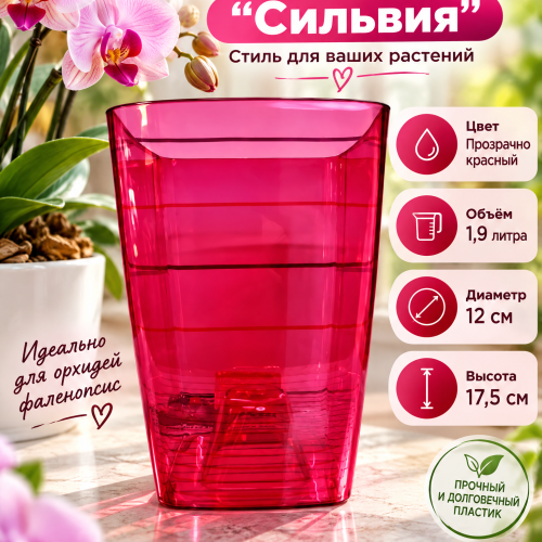 Горшок СИЛЬВИЯ  1.9 ЛИТРА - ГОРШОК ДЛЯ ОРХИДЕЙ Цвет Прозрачно Красный