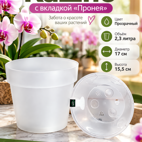 ПРОНЕЯ НАТУРАЛЬНАЯ 2.3 Л - КАШПО С ВКЛАДКОЙ